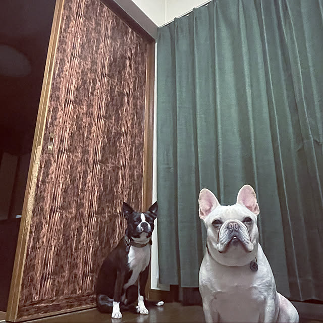 JAMさんの実例写真