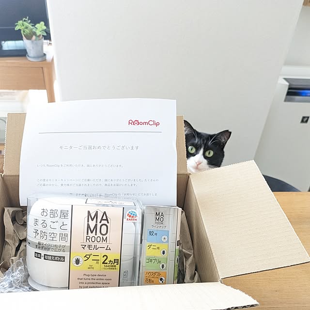 hihaさんの実例写真