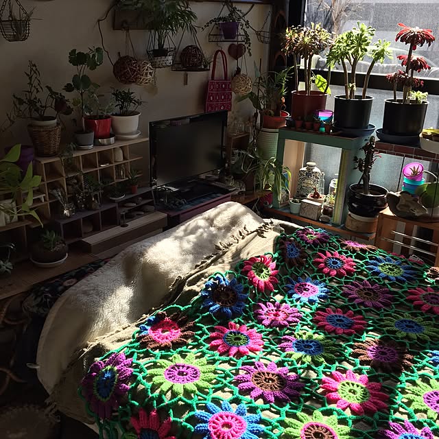 Norikoさんの部屋