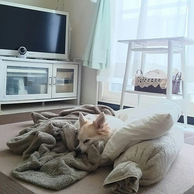 nonさんの実例写真
