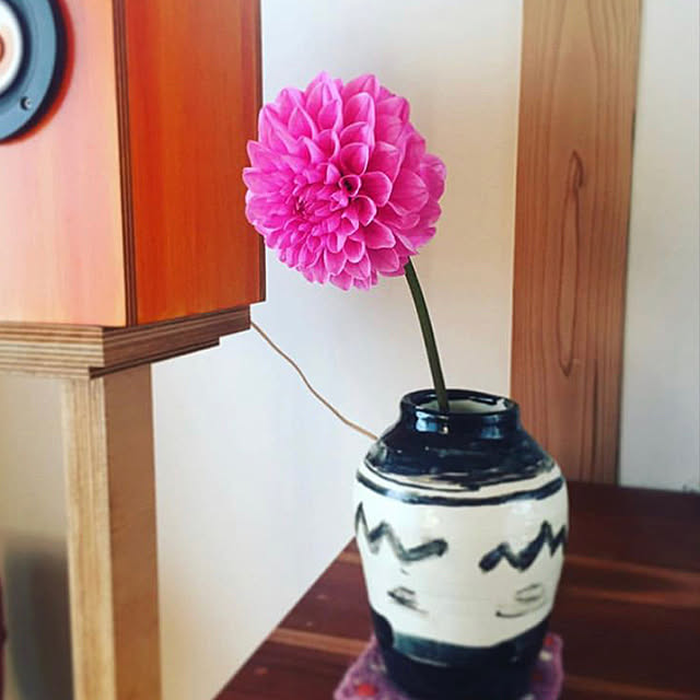 purpleさんの実例写真