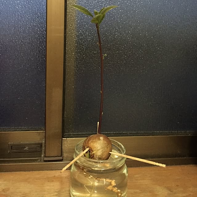 nanaさんの実例写真