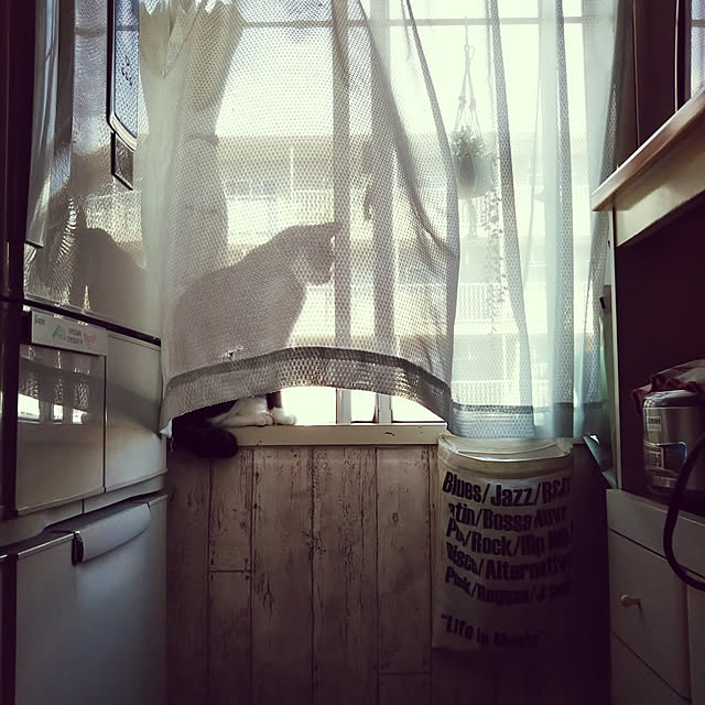 shinoさんの実例写真