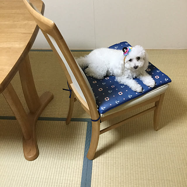 kakoさんの実例写真