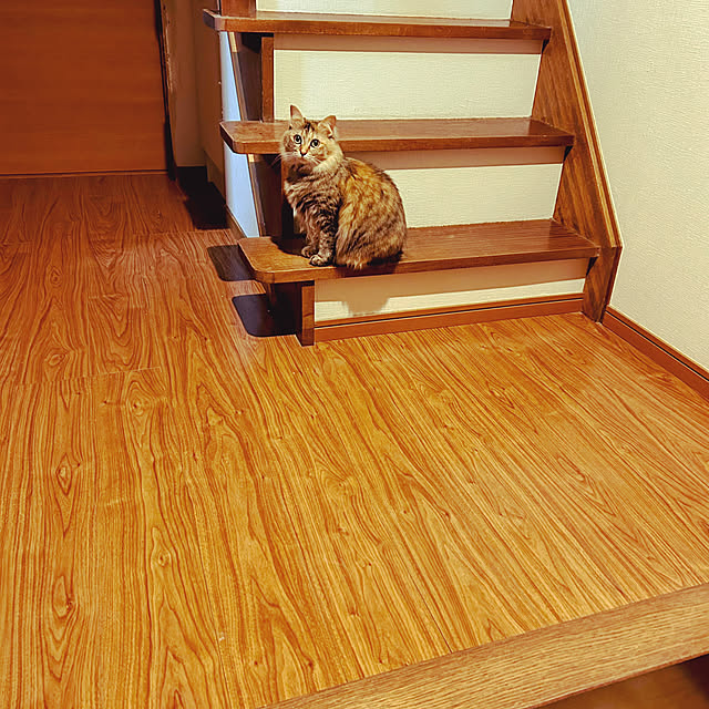kikurinさんの部屋