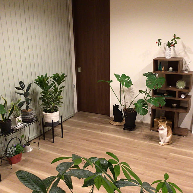 houenさんの実例写真