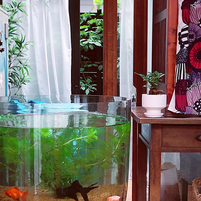 chacoさんの実例写真
