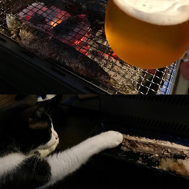 butachanさんの実例写真