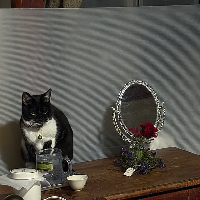 pandasさんの実例写真