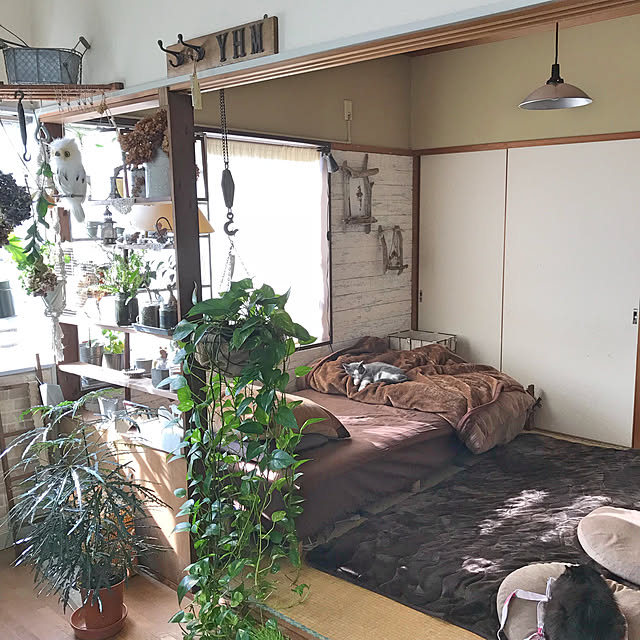 mucc08さんの実例写真