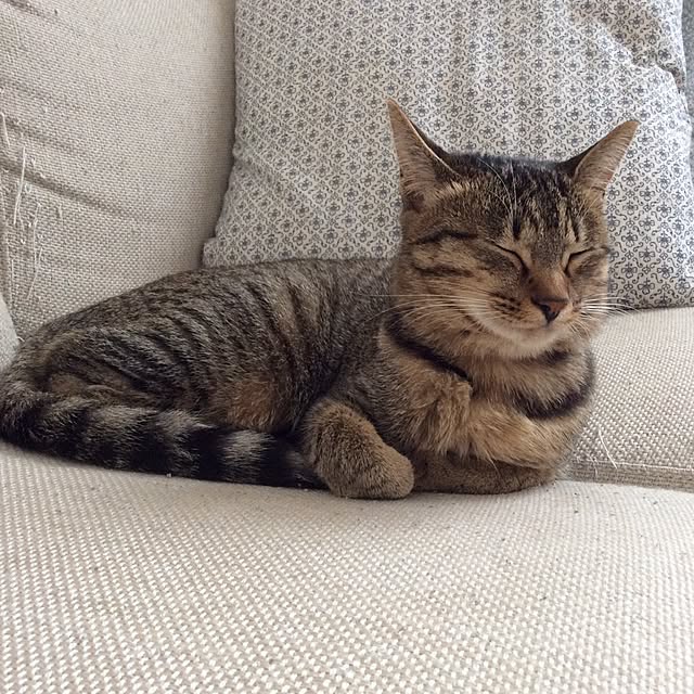 kimihadukiさんの実例写真