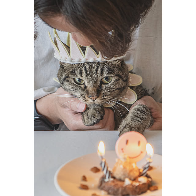 oliveさんの部屋