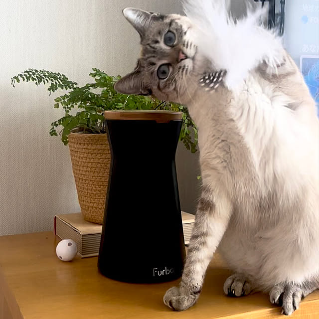 amさんの実例写真