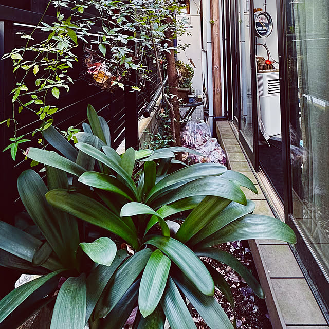 chacoさんの実例写真