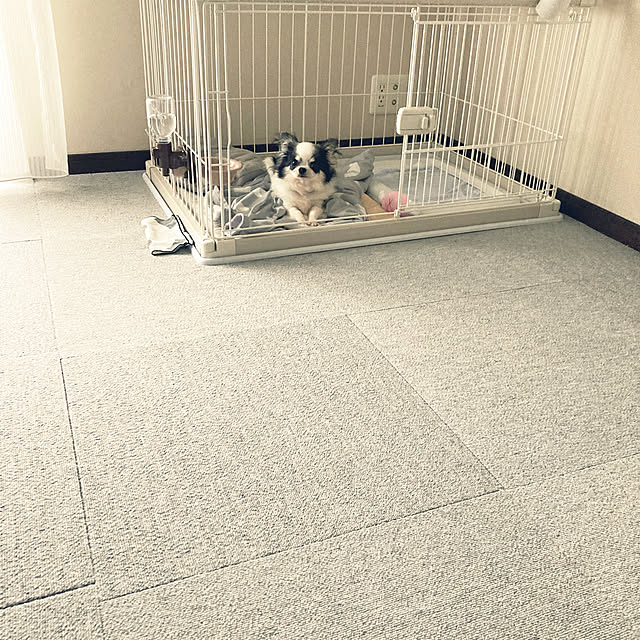 kurukuruさんの実例写真