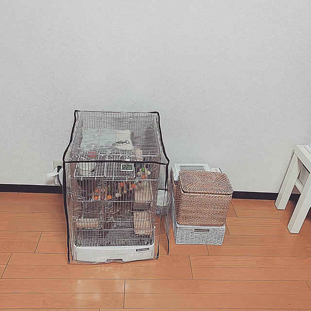 pipitan______さんの実例写真