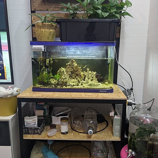 chachamaruさんの実例写真