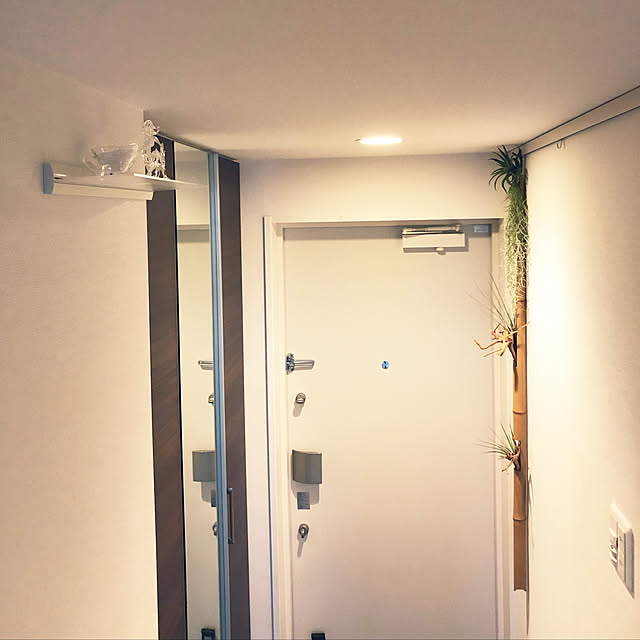 mutsuさんの実例写真