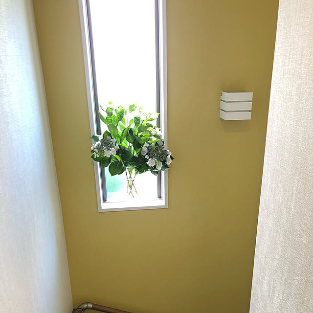 gizmoさんの実例写真