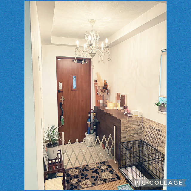 okachanさんの実例写真