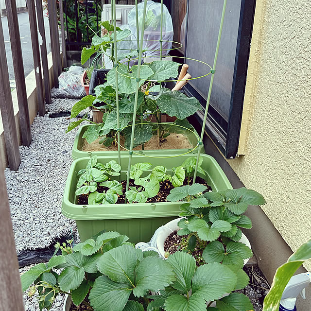 enotasoさんの部屋
