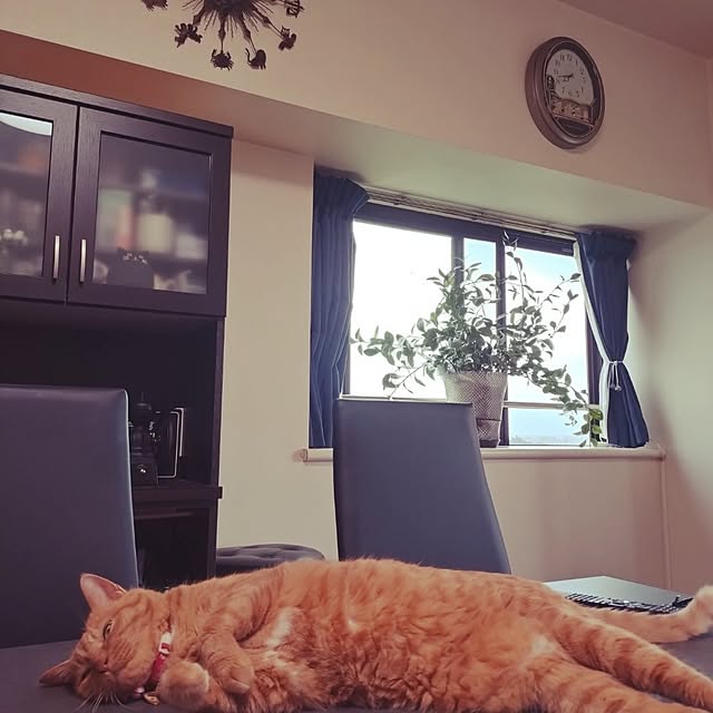 NOAHさんの部屋