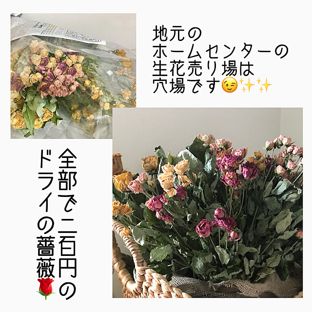 AOIさんの実例写真
