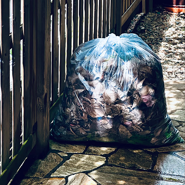 chacoさんの部屋
