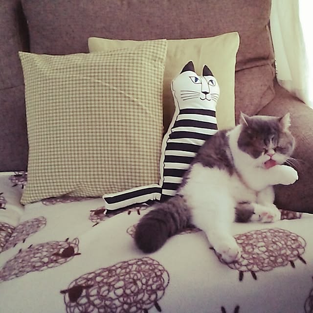 otoさんの実例写真