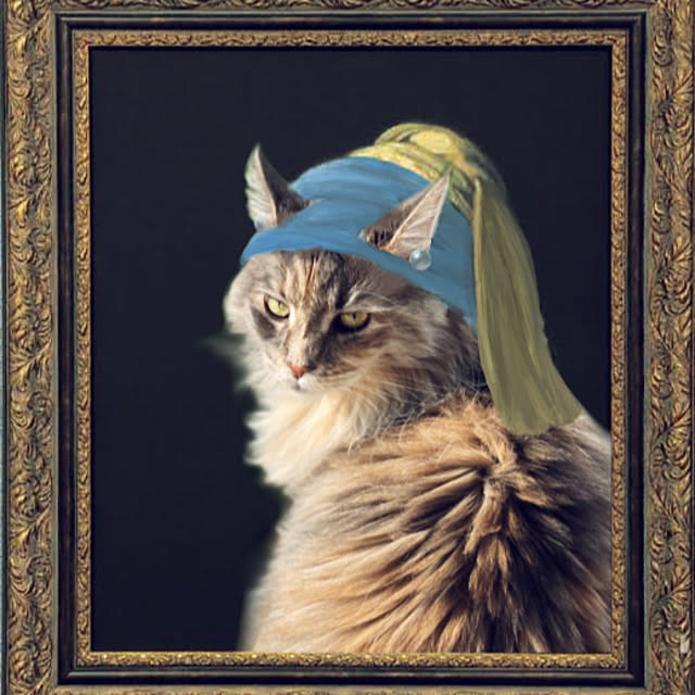実例写真