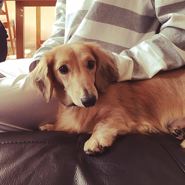 mariaさんの実例写真