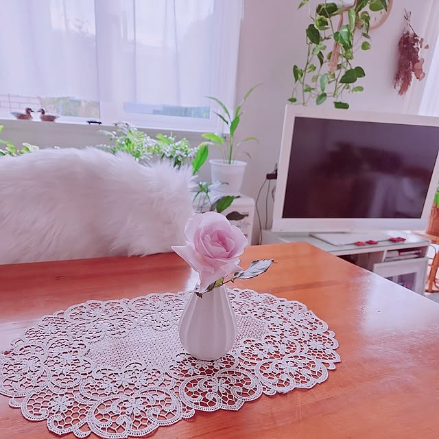 surviveさんの部屋
