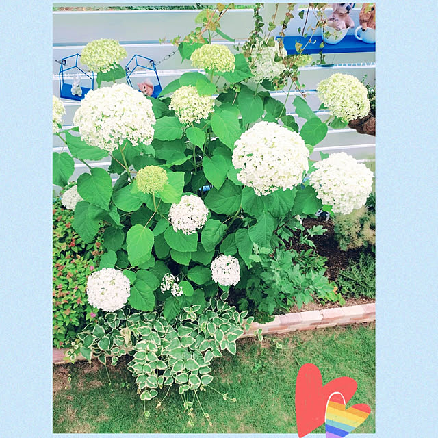 Miyumamaさんの実例写真