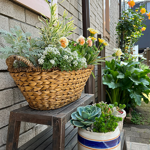 botanさんの部屋