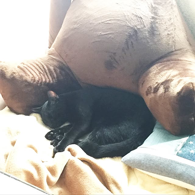 Beeさんの実例写真
