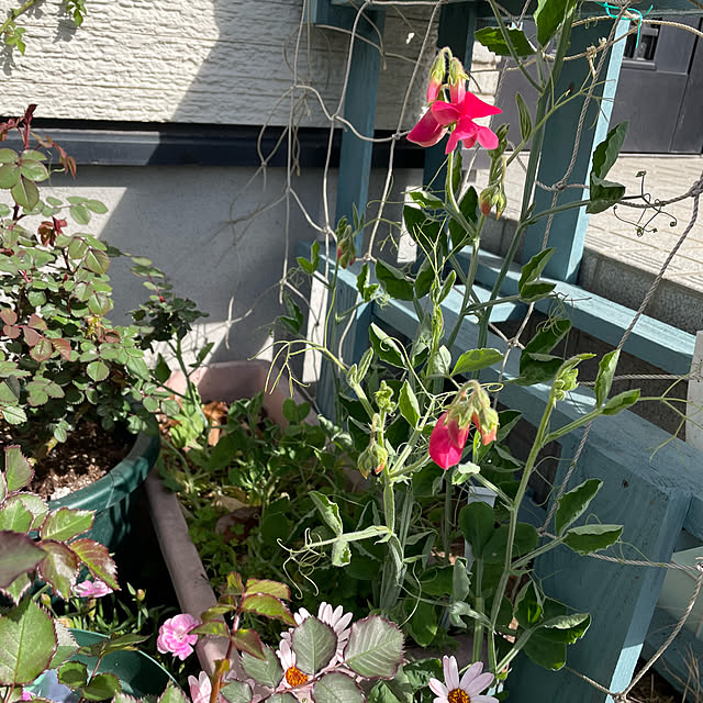 natsumiさんの部屋