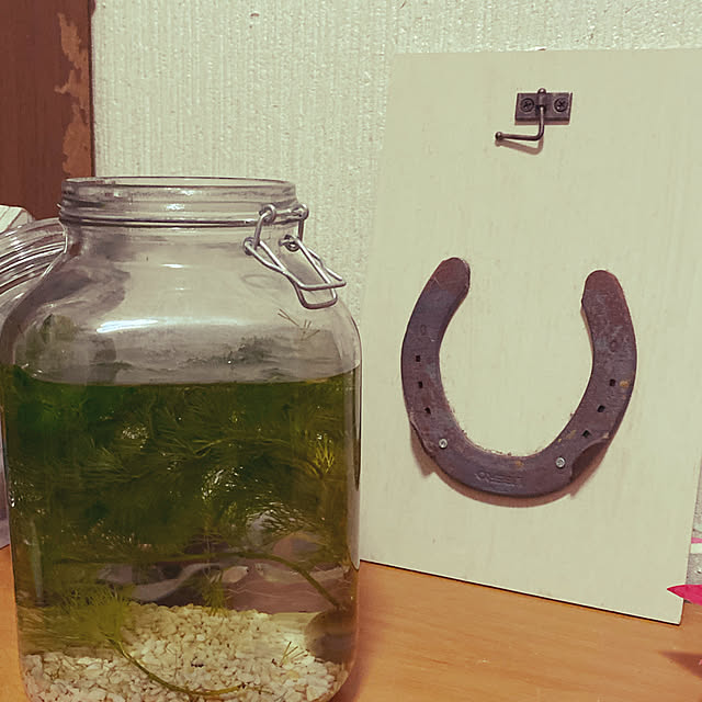 uruさんの実例写真