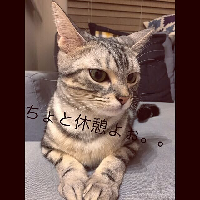 maripoさんの実例写真