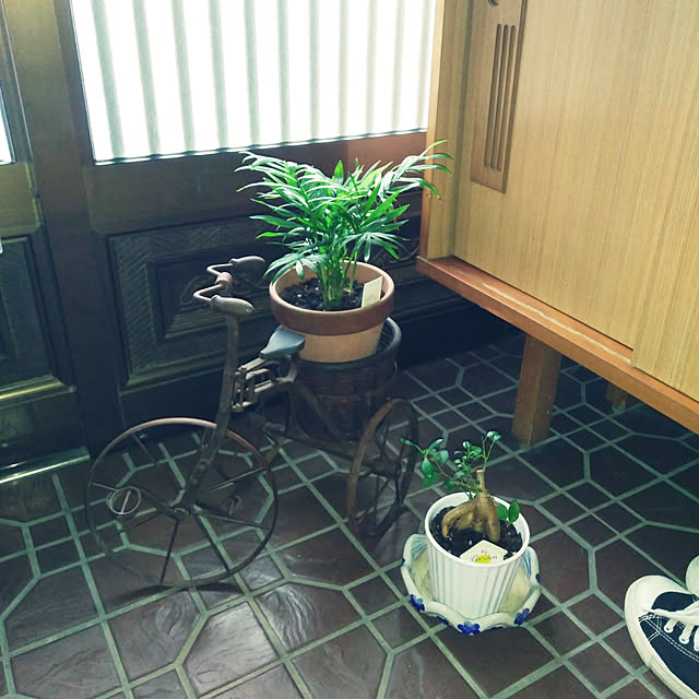emibutaさんの実例写真