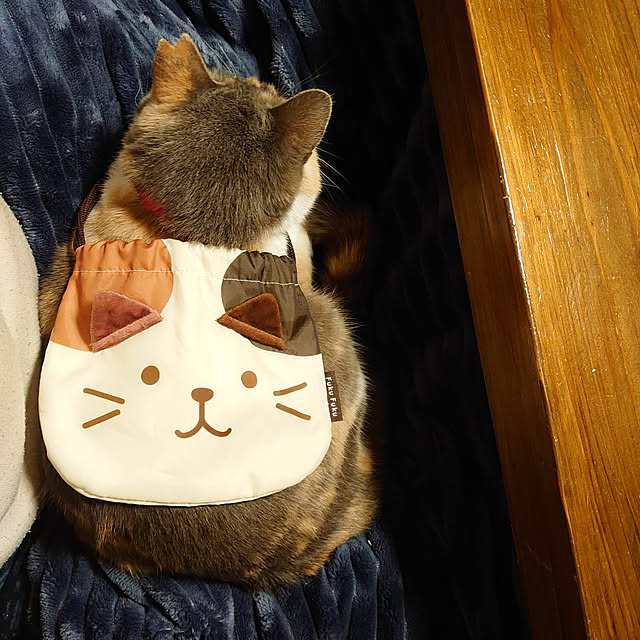 fukuさんの実例写真