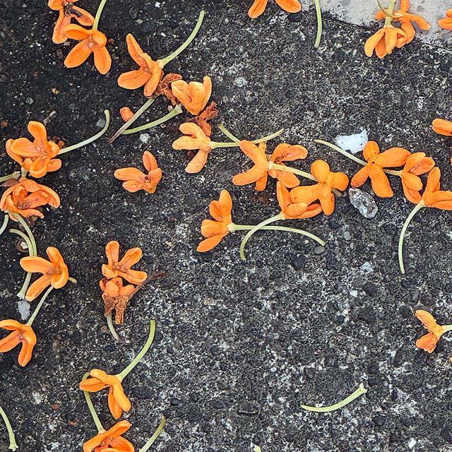 okyosan101さんの部屋