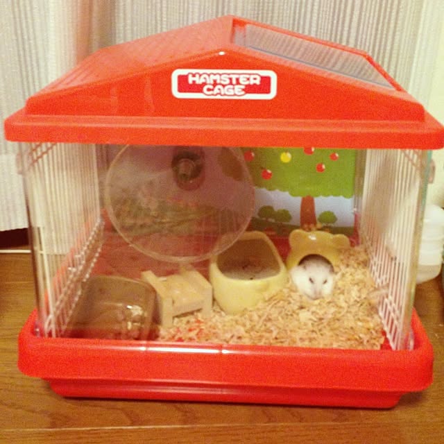 saoさんの実例写真