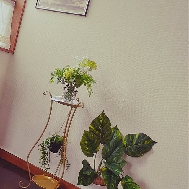 dreamerさんの実例写真