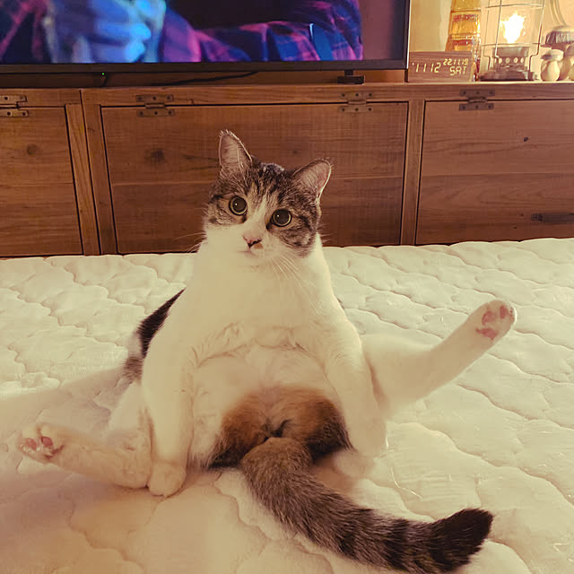 rioさんの実例写真