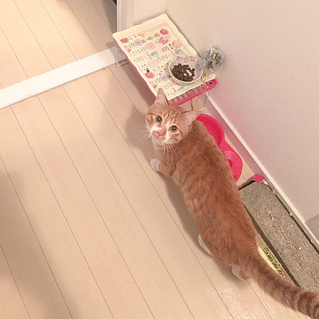 kanakomeさんの実例写真