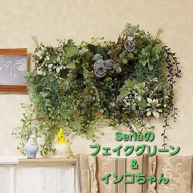 takoさんの実例写真