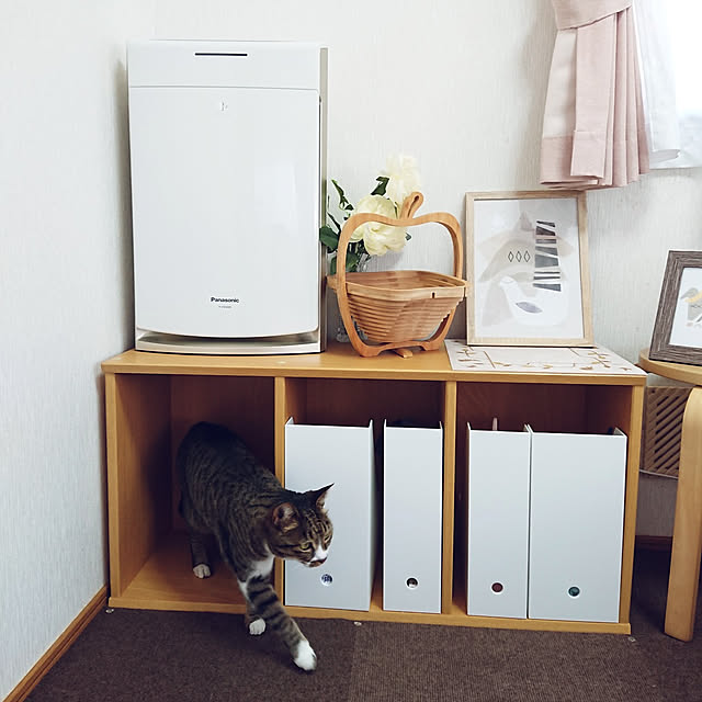 nachiさんの実例写真