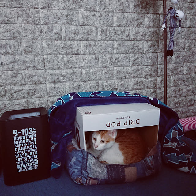 porinさんの実例写真