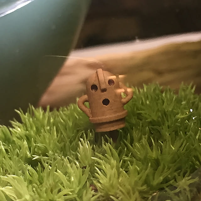 Wacooさんの実例写真