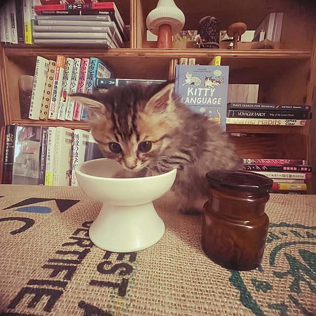 Mさんの部屋
